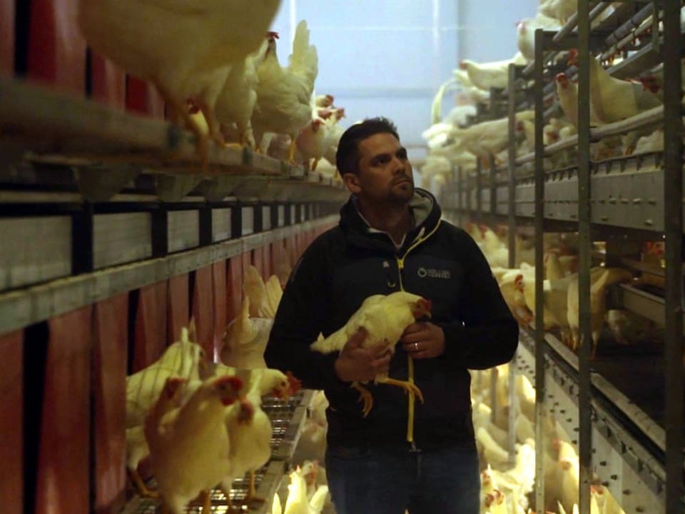 Marc Keller in seinem Betrieb mit 12'000 Hühnern.
