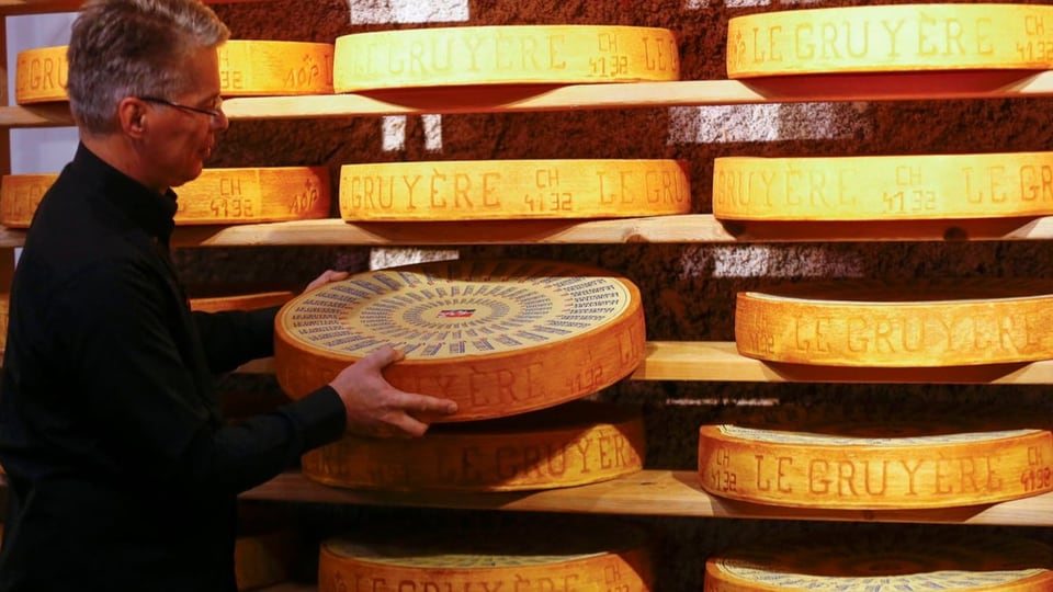 Ein Mann hält einen grossen Käselaib der Marke Gruyère in der Hand