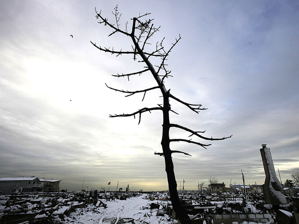 Kahler, schwarzer Baum in einer endzeitartigen Landschaft aus schneebedeckten Trümmern.