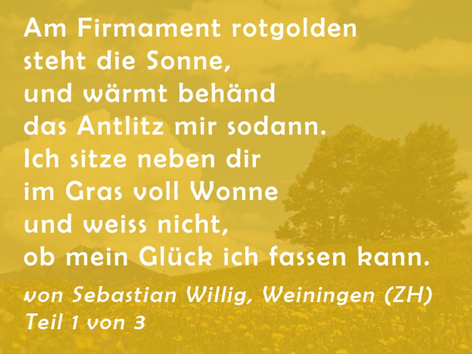 Gedicht von Sebastian Willig: Am Firmament rotgolden steht die Sonne,  und wärmt behänd das Antlitz mir sodann.   Ich sitze neben dir im Gras voll Wonne  und weiss nicht, ob mein Glück ich fassen kann. 