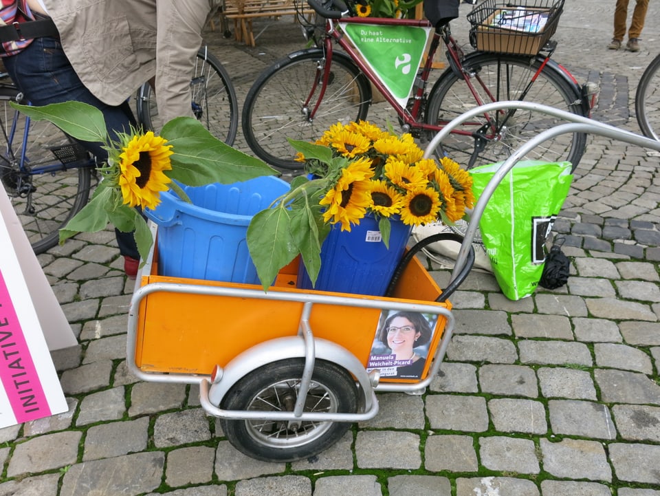 Die Sonnenblumen der Alternativen - die Grünen im Anrollen. 