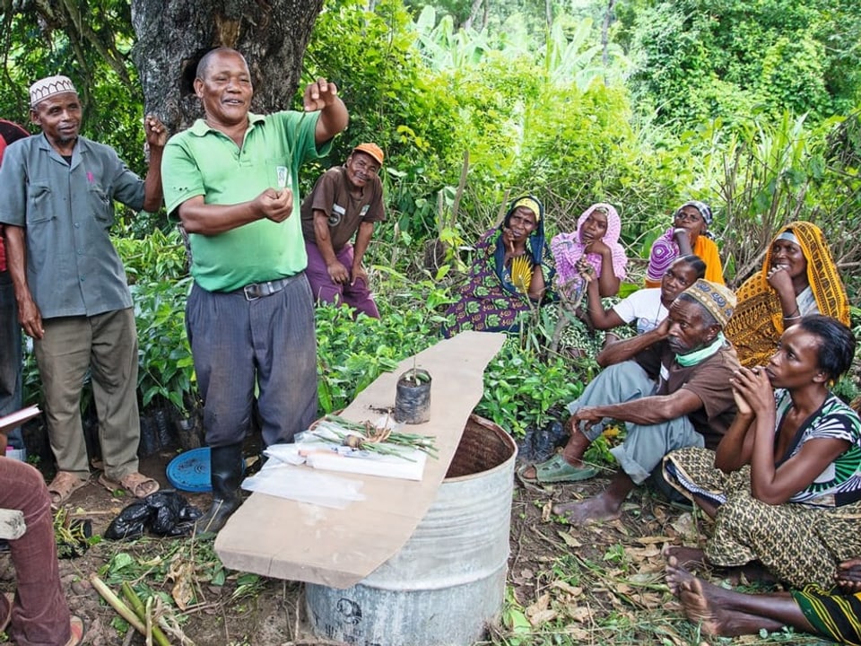 Farmers from Bamba, Tanzania learn methods of grafting trees.