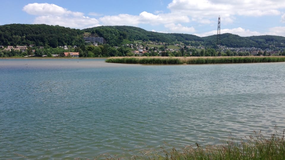 Klingnauer Stausee