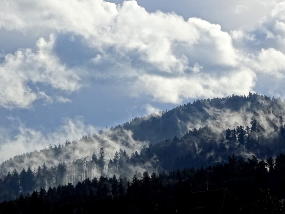 Wolken steigen aus dem Umizwald hinter dem Gurten bei Bern auf.