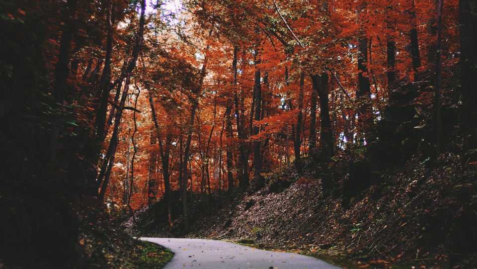 Schöne Herbstlandschaft