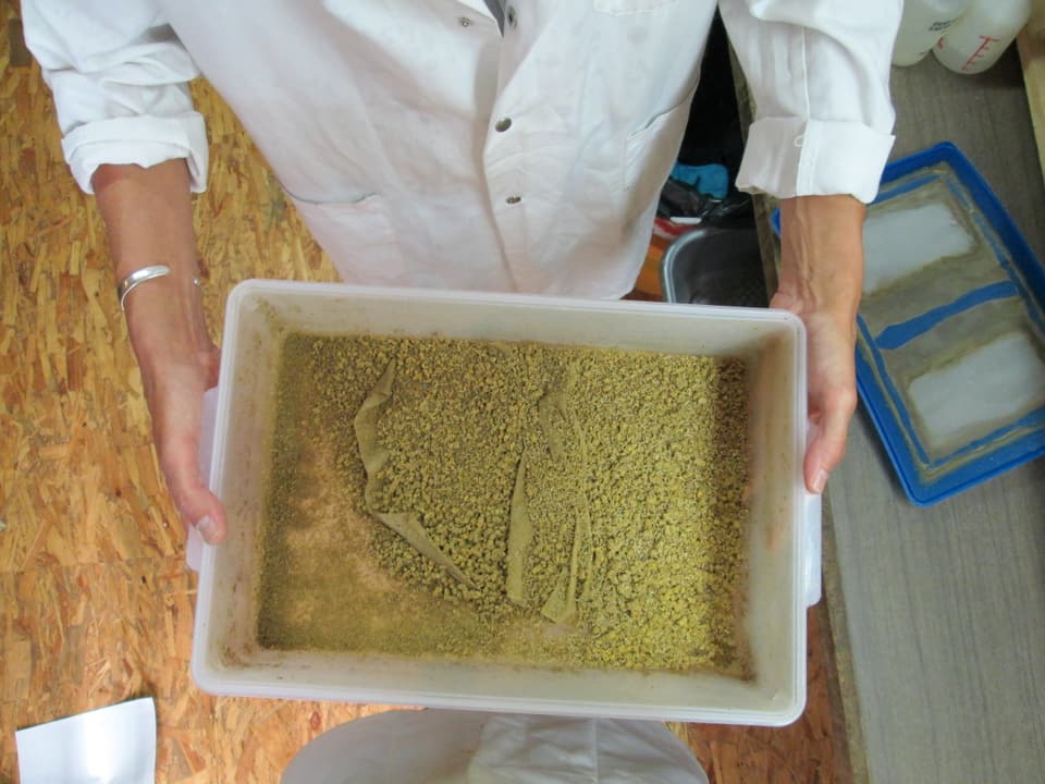 Ein Mann zeigt einen Behälter mit einer körnigen, bräunlichen Substanz drin