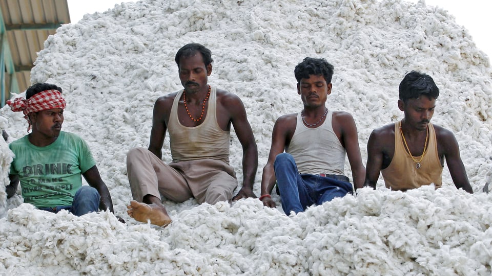 Baumwollarbeiter Indien