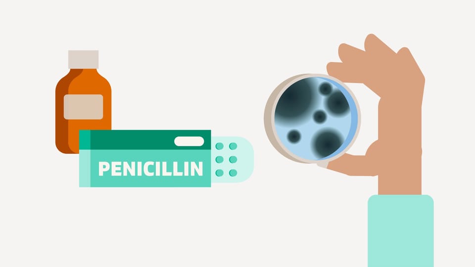 Penicillin und Schimmelpilz