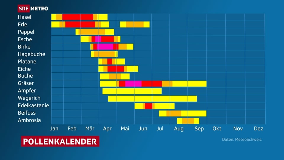 Saisonale Verteilung der Pollenhäufigkeit in Kalenderform