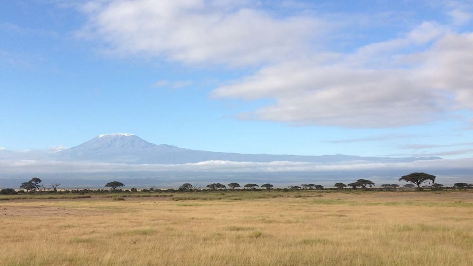 Der Kilimandscharo in der Ferne.