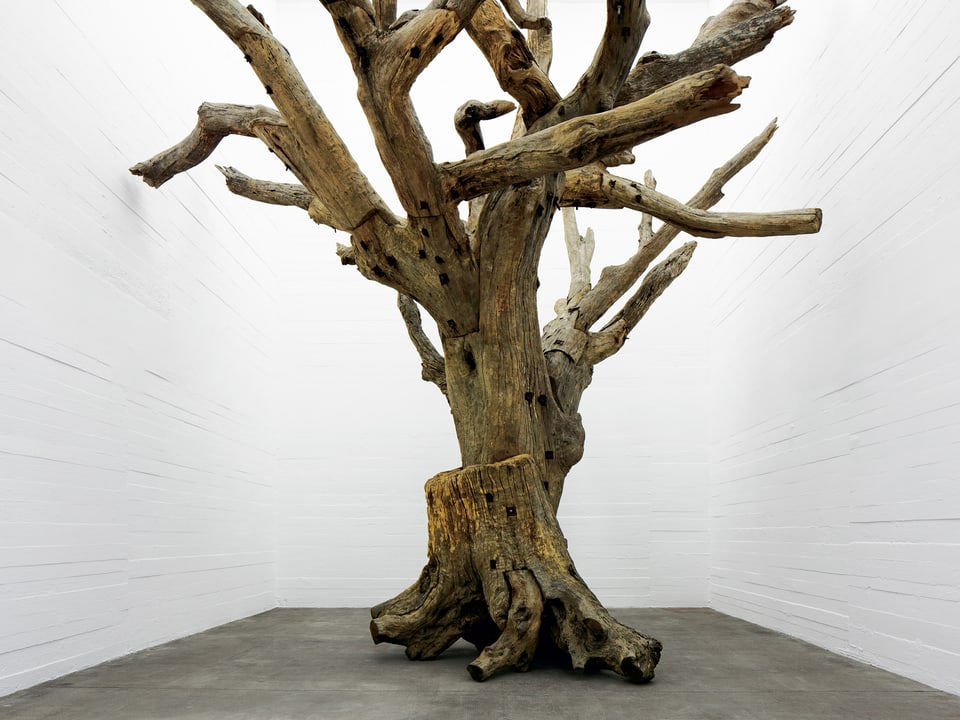 Weisser Raum mit Baum, der aus einzelnen Baumteilen zusammengesetzt ist