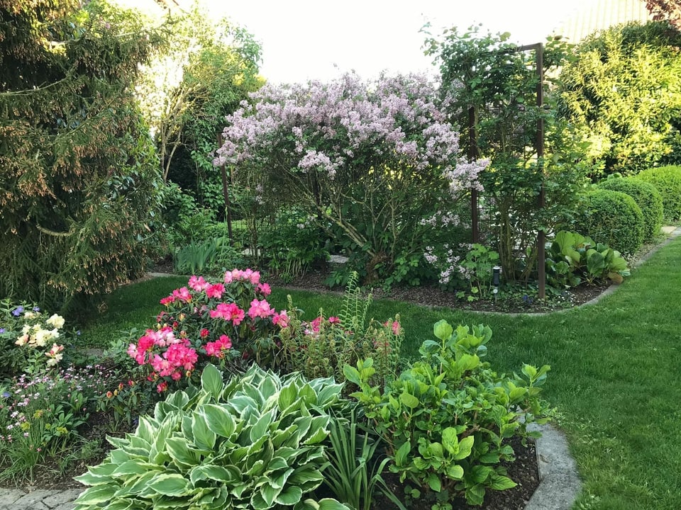 Fein säuberlich gestalteter Garten, mit abgerundeten Blumenbeeten.