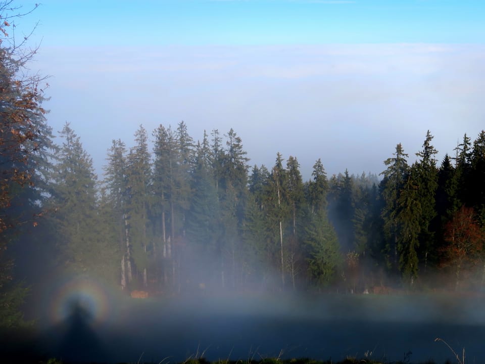 Nebelschwaden oberhalb von Guggsiberg mit einem Brockengespenst.