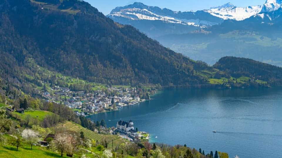 Blick auf Vitznau am Vierwaldstättersee.