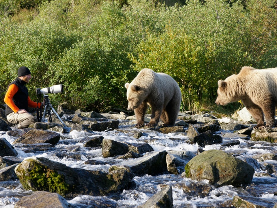 Mann kniet mit Kamera in Bach. Zwei Bären beobachten ihn.