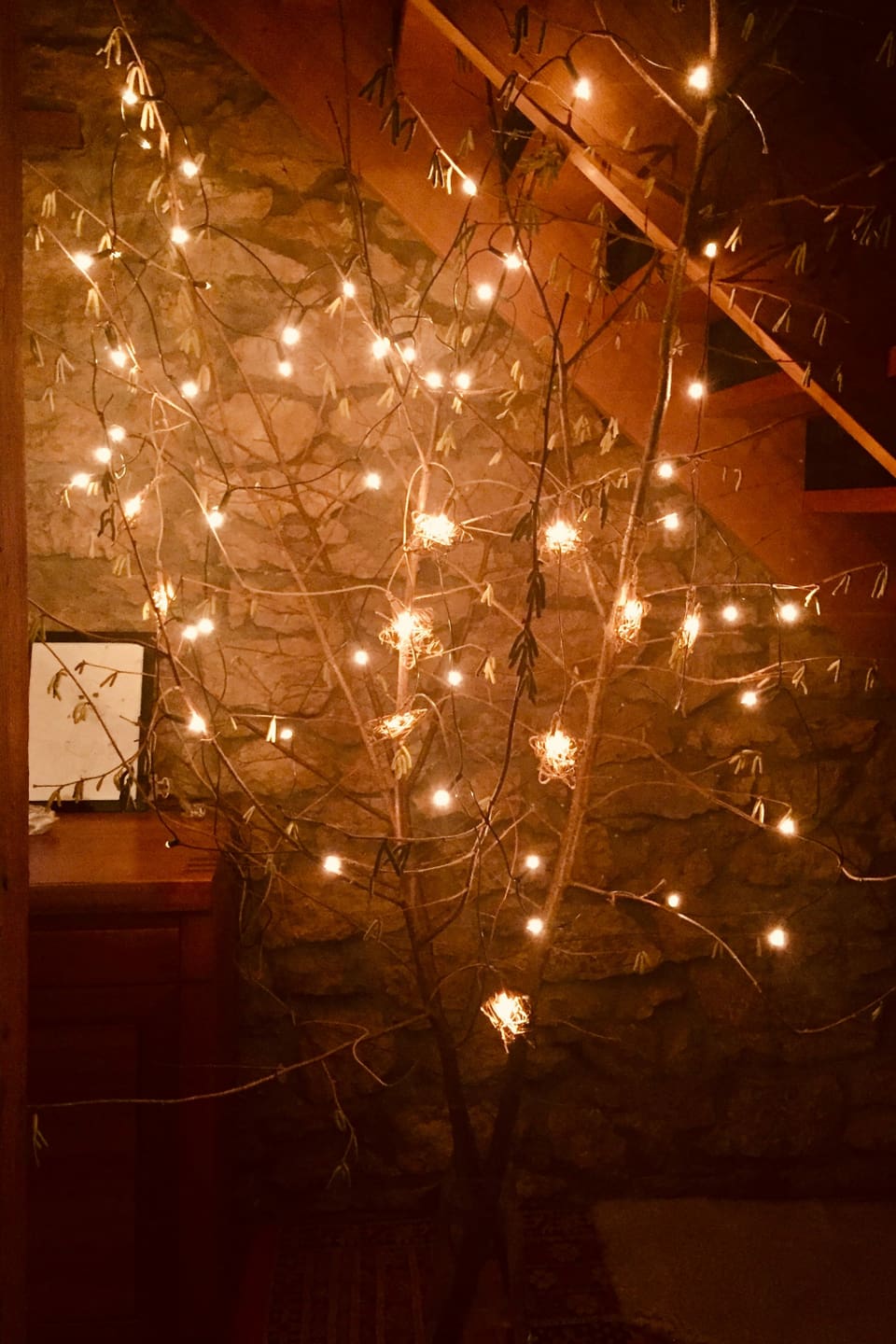 Fotoaktion Natürliche Adventsdekoration Das sind Ihre schönsten