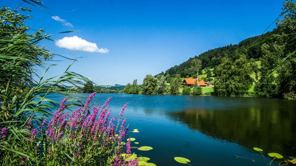 Fast wolkenloses Wetter in Egolzwil