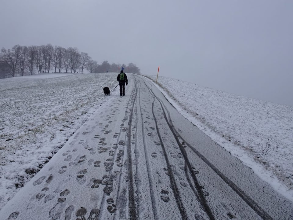 Mensch und Hund laufen auf schneebedeckter Strasse.