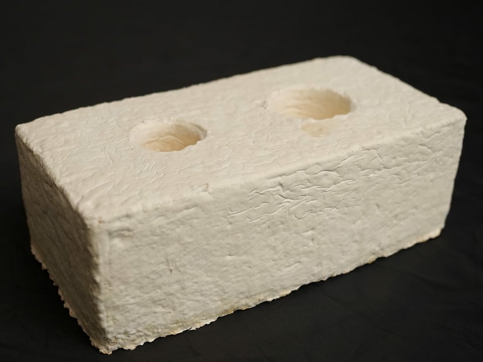 Ein Block aus Pilz-Mycel.