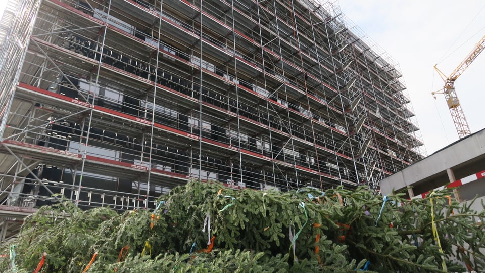 Tanne liegt am Boden vor dem Hochhaus.