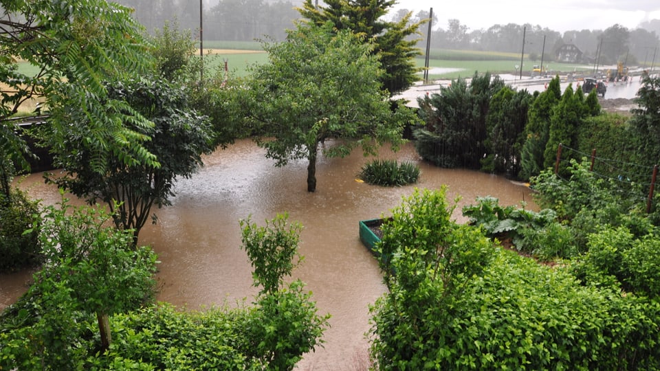 Überschwemmter Garten in Neuenegg