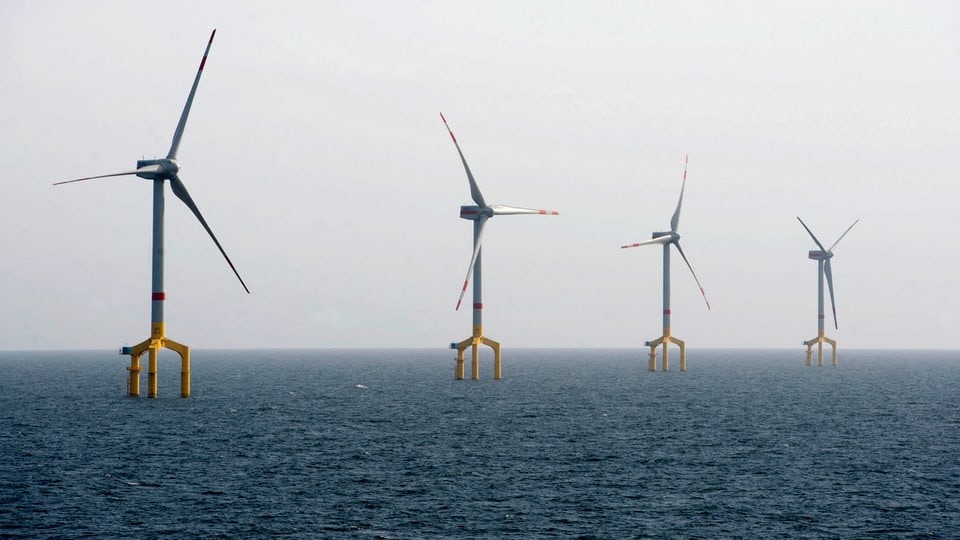 Vier Windräder von Deutschlands erstem kommerziellen Nordsee-Windpark BARD, seit 2011 in Betrieb, im Meer stehend.
