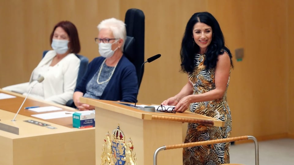 Amineh Kakabaveh spricht vor dem schwedischen Parlament.