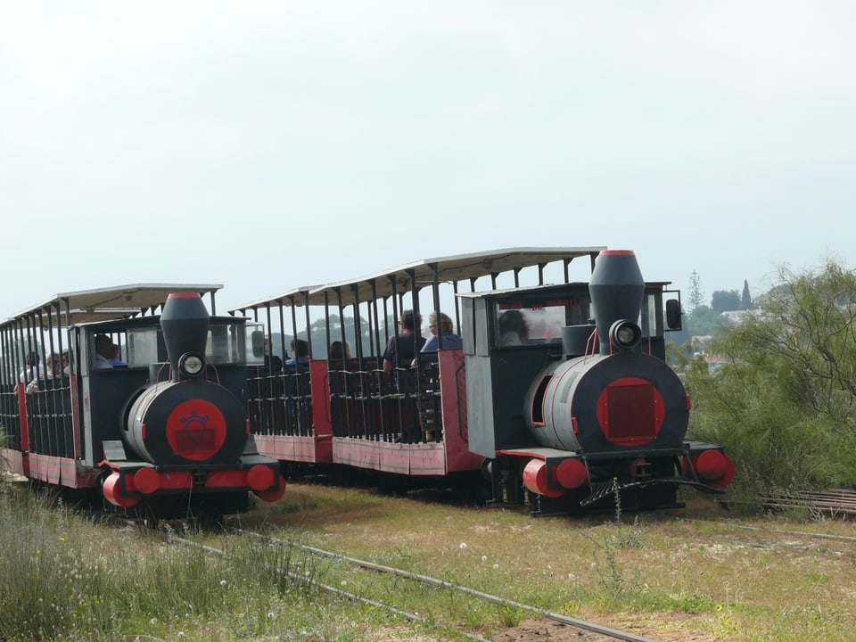 Zwei Züge in schwarz-rot fahren über eine Wiese