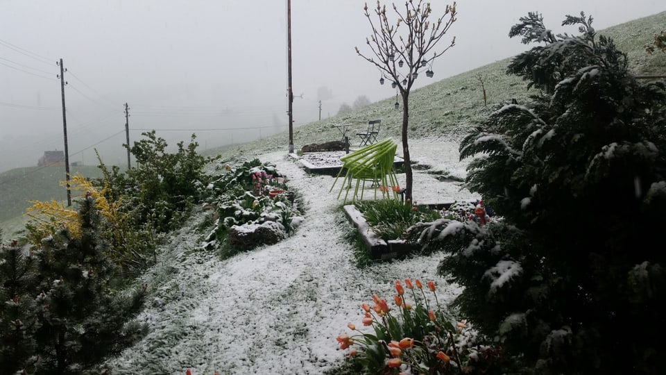 Leicht verschneiter Garten in Gonten