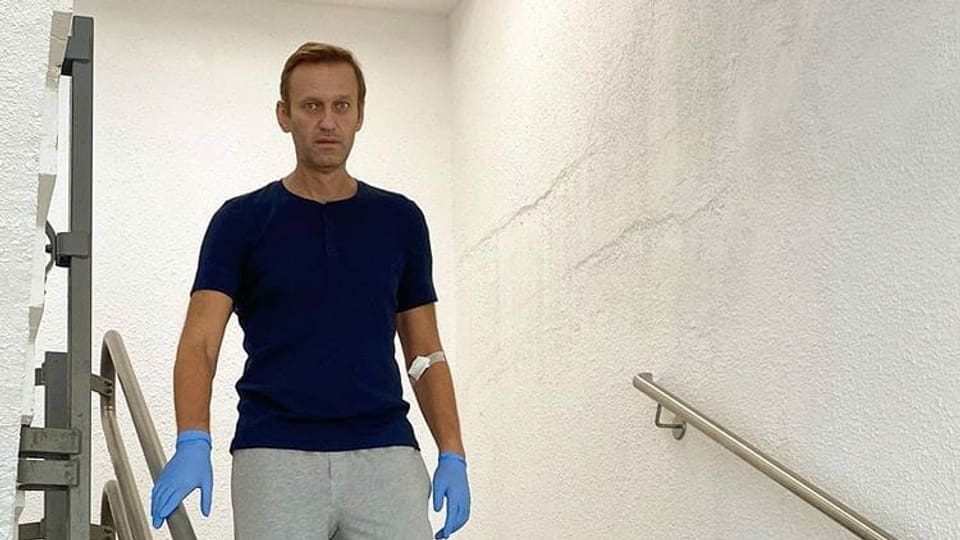 Nawalny will zurück nach Russland
