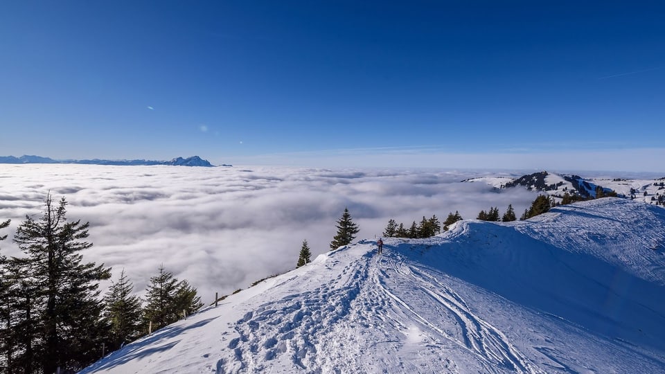 Von der Rigi sah man am Samstag auf ein Nebelmeer mit Obergrenze bei 1500 Metern in der Zentralschweiz.