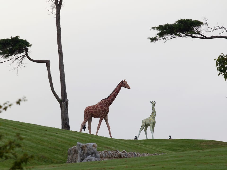 Giraffen-Statuen auf Kim Dotcoms Anwesen in Neuseeland.