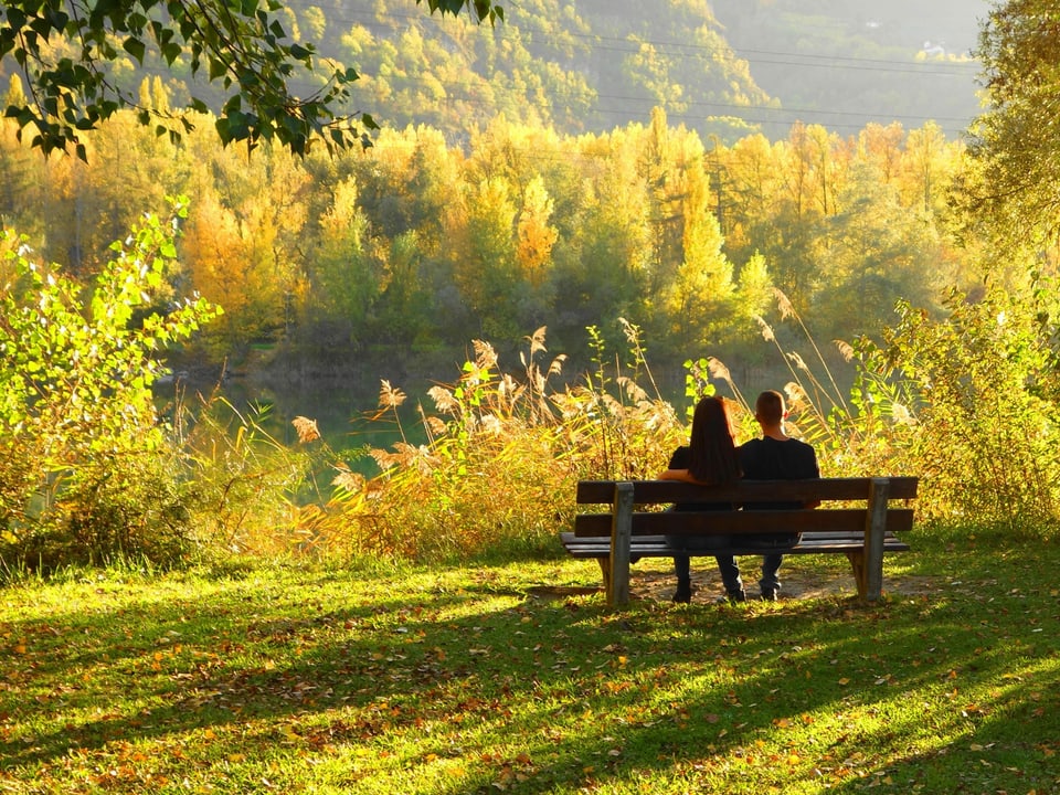 Paar das vor verfärbtem Wald auf Bank sitzt