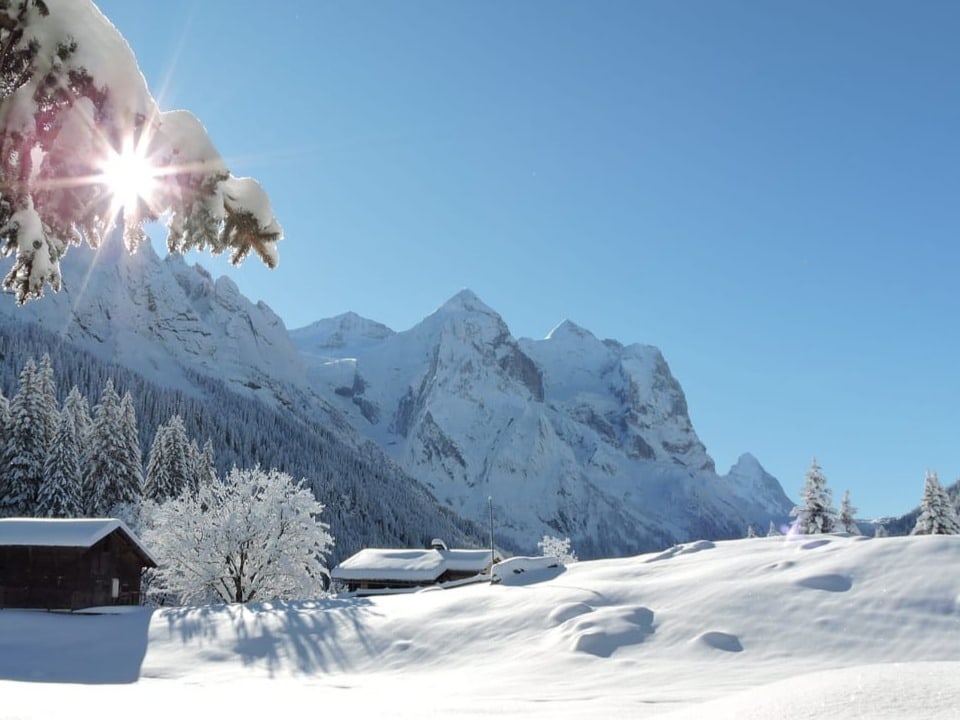 Tief verschneite Berglandschaft mit Sonne über blauem Himmel.