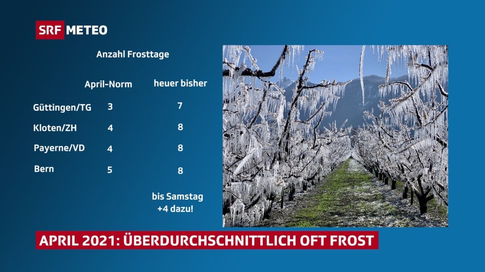 Viele Frosttage Viele Frosttage