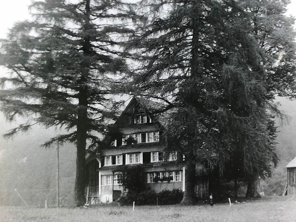 Ein altes Haus zwischen zwei Bäumen.