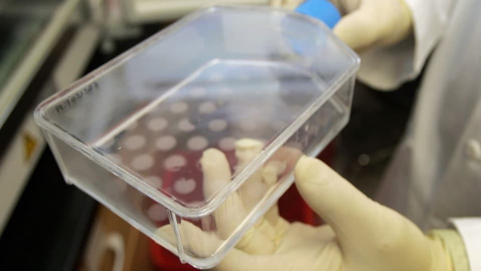 Behälter mit Stammzellen in einem Labor.