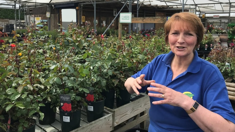 Kurzhaarige Frau mit Uniform im Gartencenter