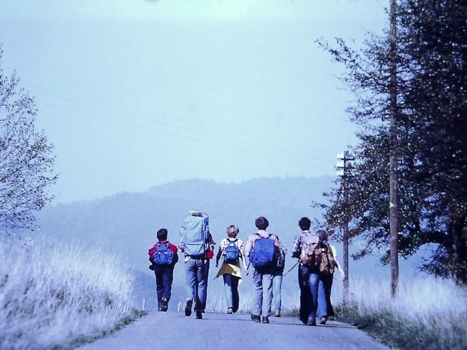 Gruppe von Wanderern auf einem Landweg zwischen Bäumen.