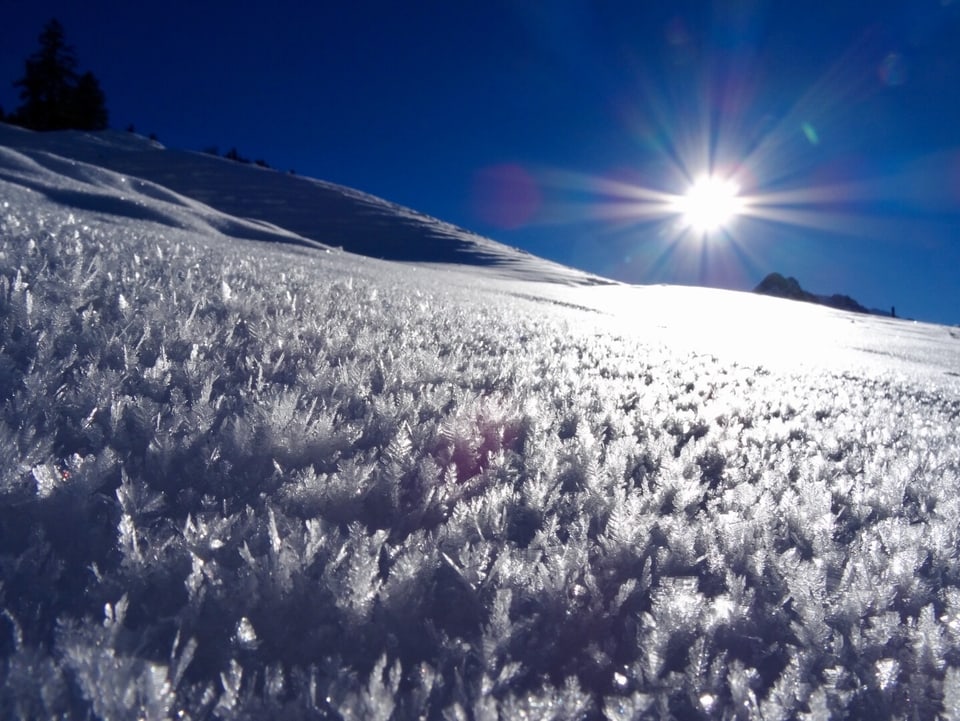 Auf einem Schneefeld sind winzige Eiskristalle zu sehen. Am Horizont scheint die Sonne vom wolkenlosen Himmel.