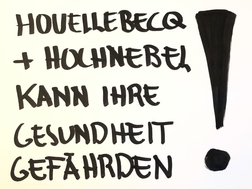 Houellebecq + Hochnebel --> kann ihre Gesundheit gefährden!