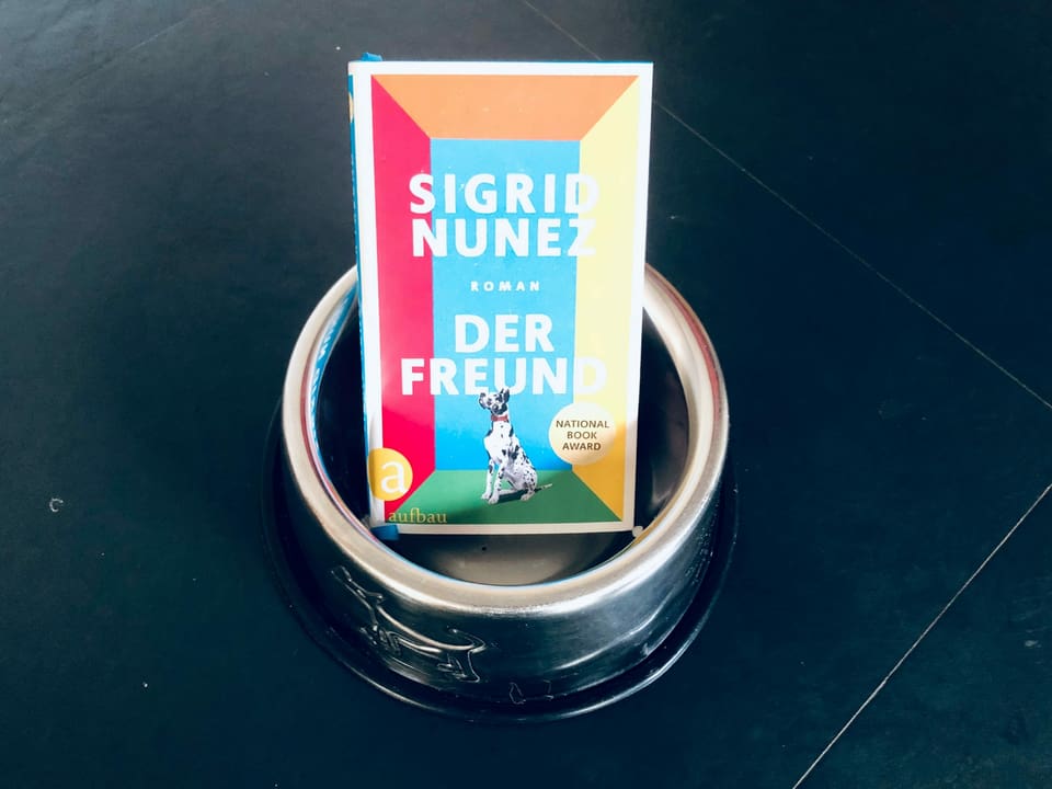 Der Roman «Der Freund» von Sigrid Nunez steht in einem Hundefutternapf