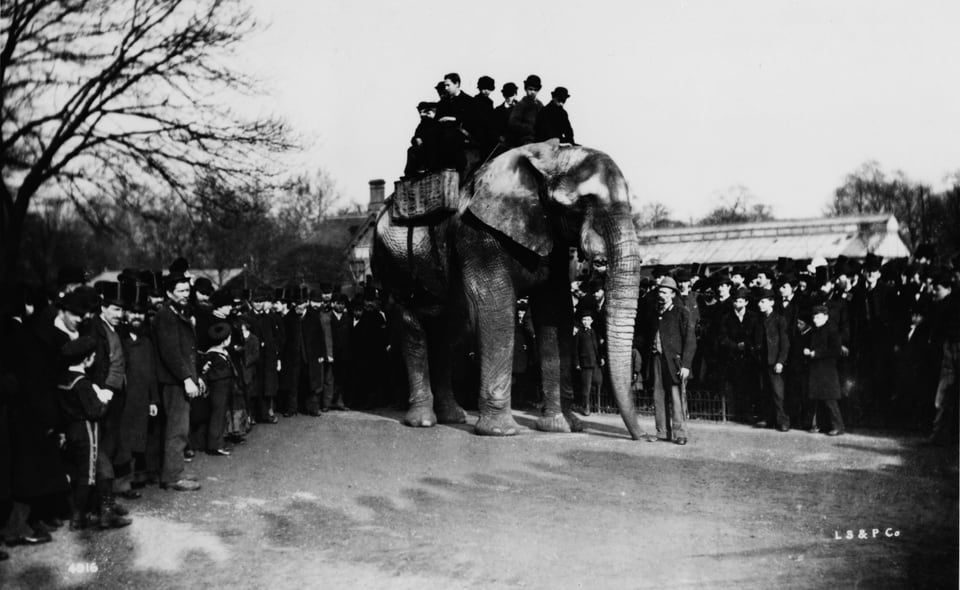 Ein altes Foto: Ein Elefant steht auf einem Platz, auf seinem Rücken sitzen Menschen. Um ihn herum stehen viele weitere Menschen