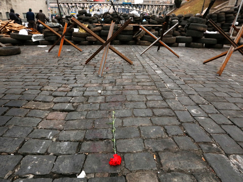 Eine rote Rose auf dem Pflastersteinboden in Kiew. 
