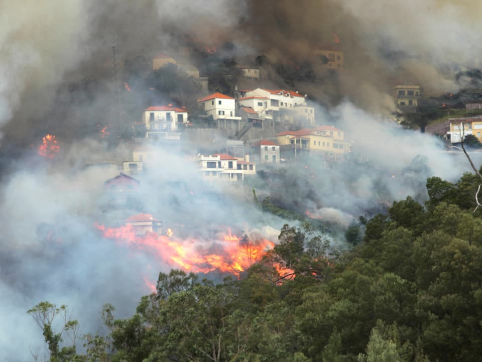 Flammen wüten auf Madeira. 