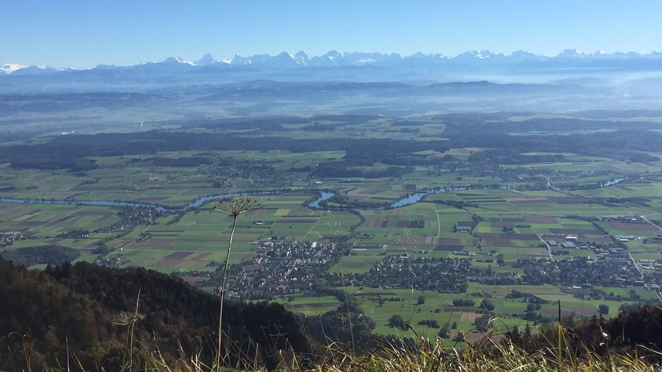 Blick vom wolkenlosen Grenchenberg auf das Mittelland und die dahinterliegenden Alpen.
