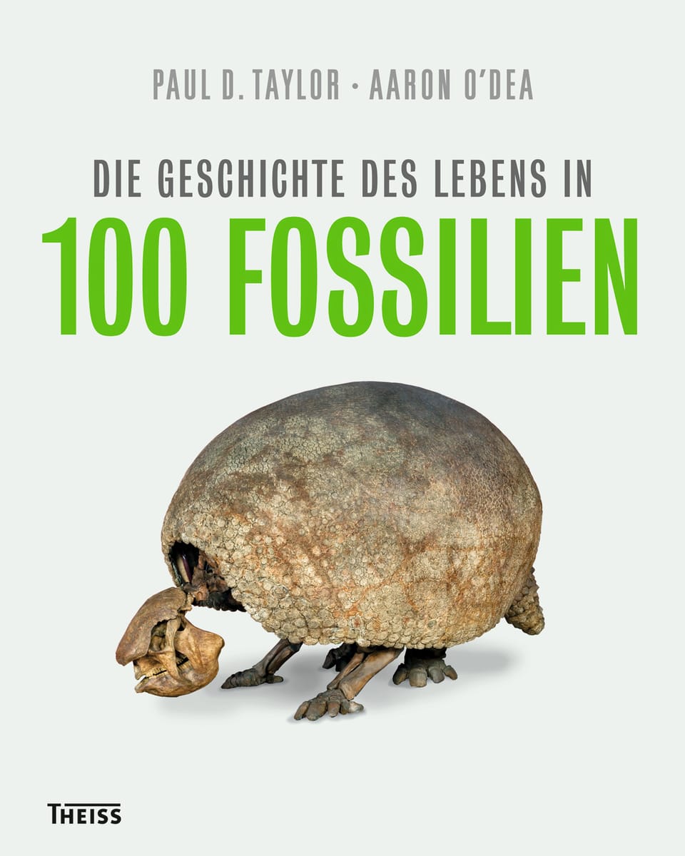 Buchcover von «Die Geschichte des Lebens in 100 Fossilien»