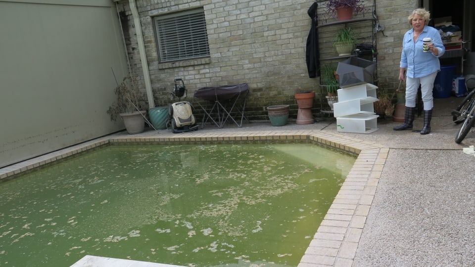 Ein Pool, in den der Hurrikan Fische geschwemmt hat.