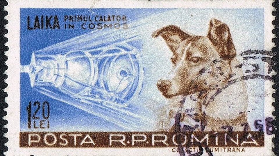 Briefmarke mit der Hündin Laika und der Sonde Sputnik 2.