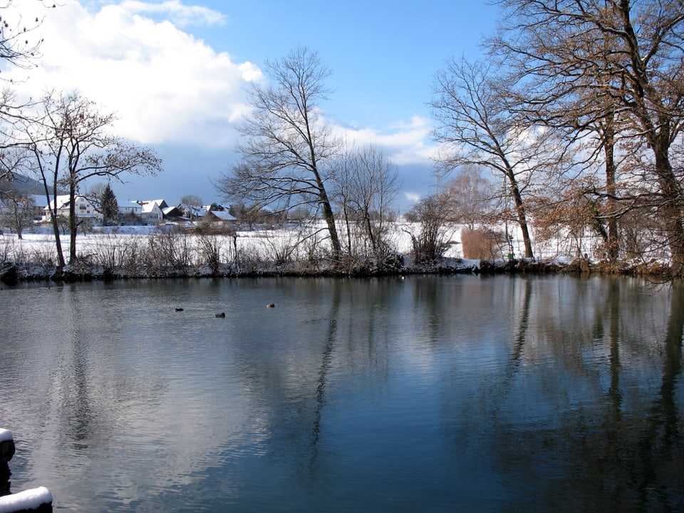 Das Bild zeigt einen See unter blauen Himmel. Das Ufer ist gesäumt mit vereinzelten Bäumen, es liegt Schnee.